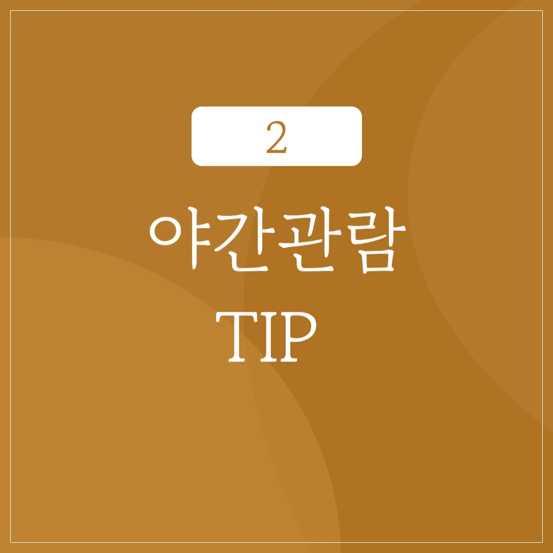 경복궁 야간 관람 팁