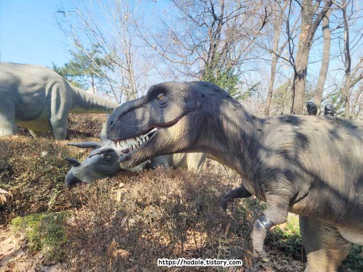 공룡박물관티렉스