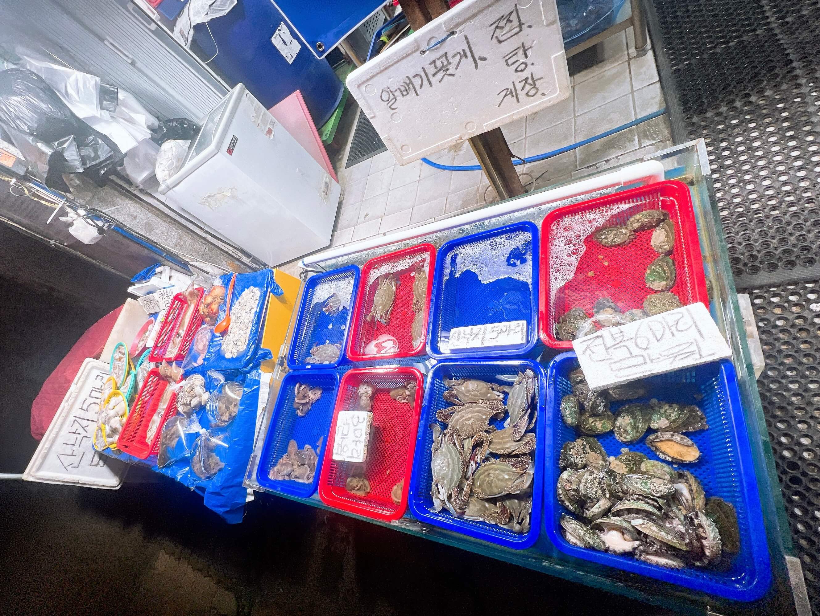 경동시장 다퍼줘 횟집 관련 사진