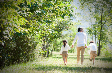 울진 금강소나무숲길