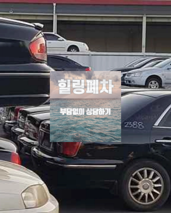 장기 방치 법인 차량 법인 상태 확인
