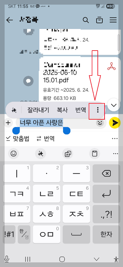 카톡 스포방지 모자이크 기능