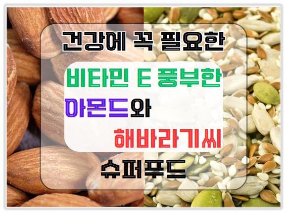 비타민 E가 풍부한 아몬드와 해바라기씨: 건강에 꼭 필요한 슈퍼푸드