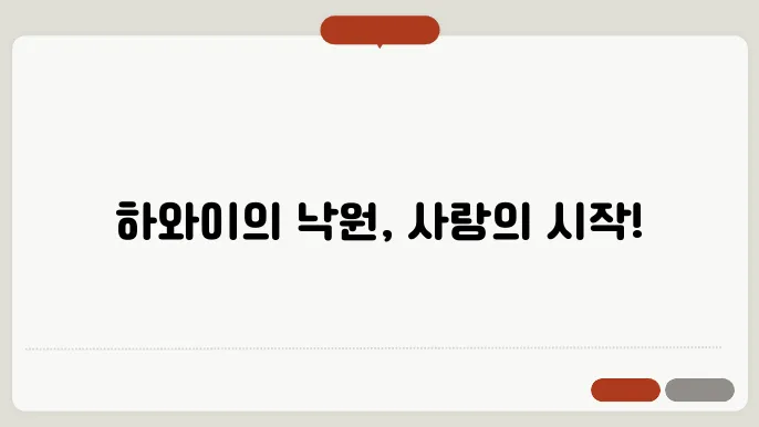 하와이 신혼여행 패키지