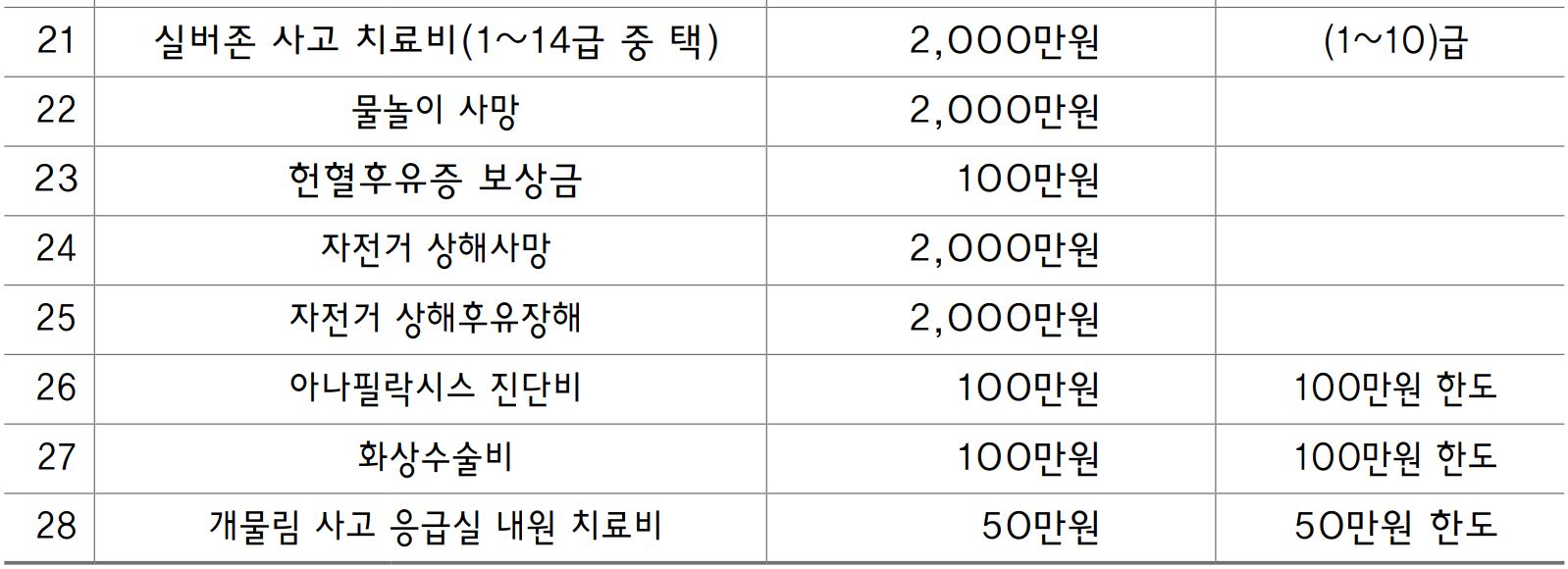 고령군 군민안전보험