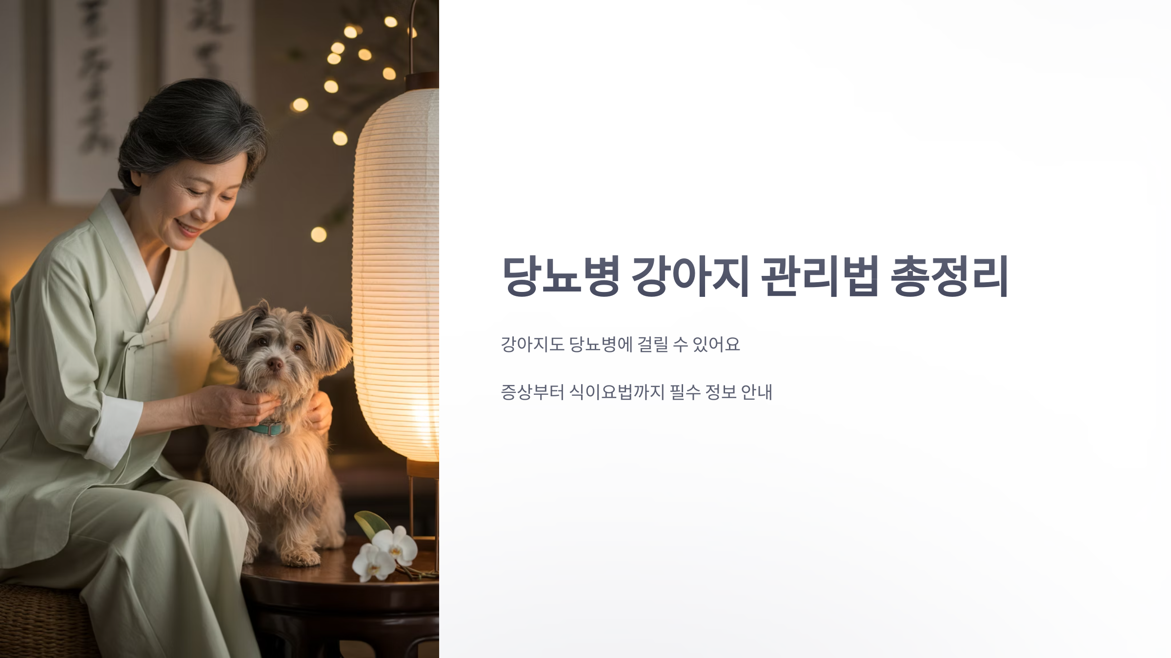 참조-당뇨병-강아지-1