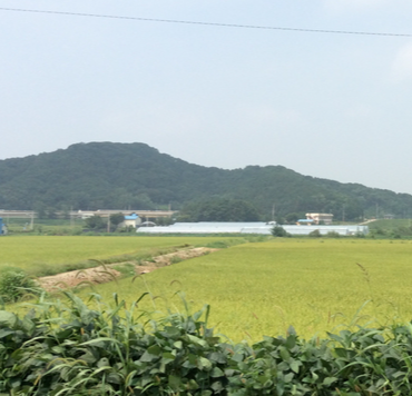 철원 가볼만한곳 베스트10