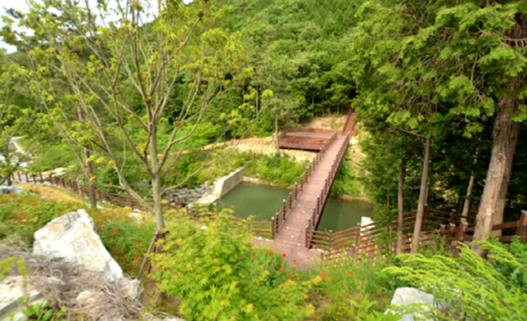 팔영산 등산코스