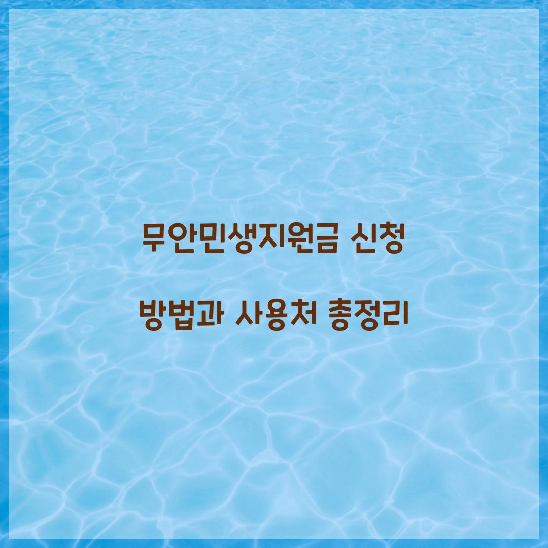 무안민생지원금