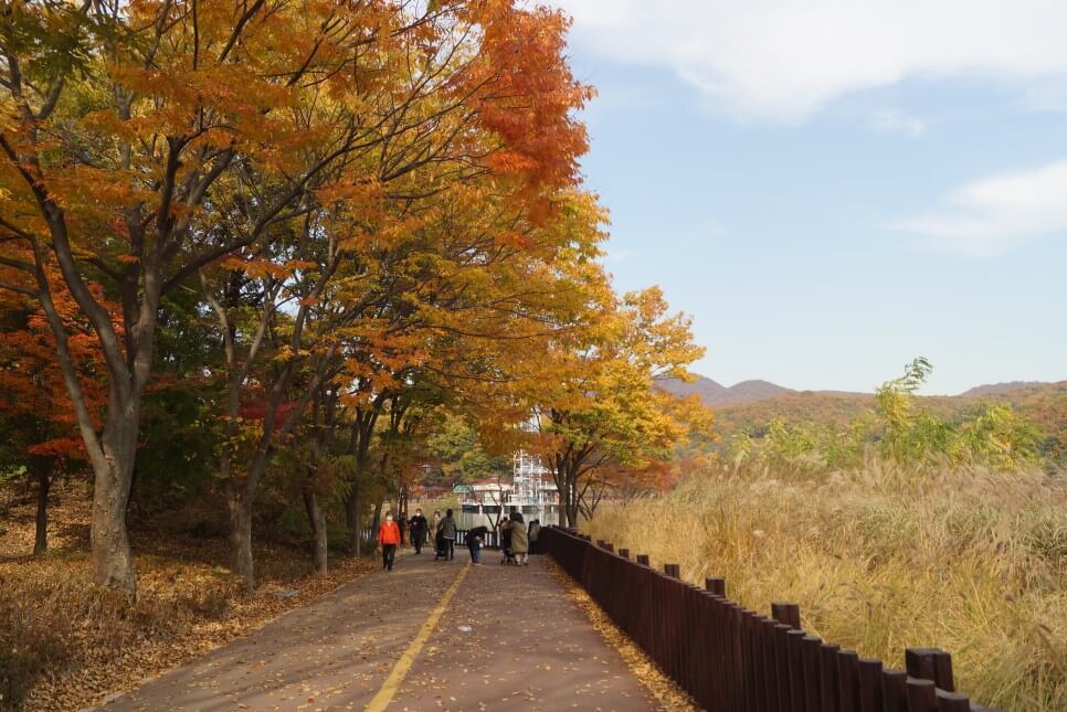 반려견과 함께 떠나는 분당·판교 가을산책 단풍명소 추천 : 탄천산책로·율동공원·판교생태공원