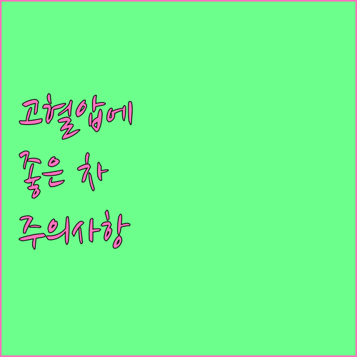 고혈압 낮추는 차 종류와 섭취 시 주..