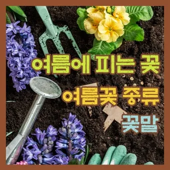 여름꽃 종류 모음 여름 꽃나무 추천 12가지 정리_5