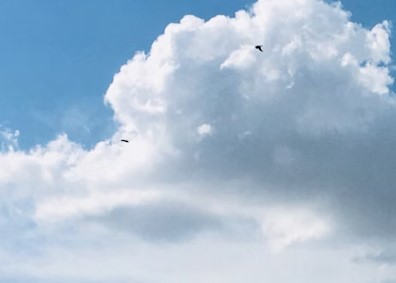 weather