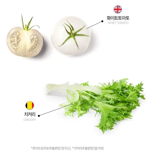 유로디에트 코어빈 내돈내산 후기 효과 부작용 복용법 가격