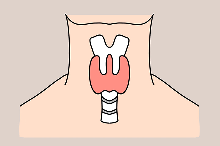 갑상선-건강-유지