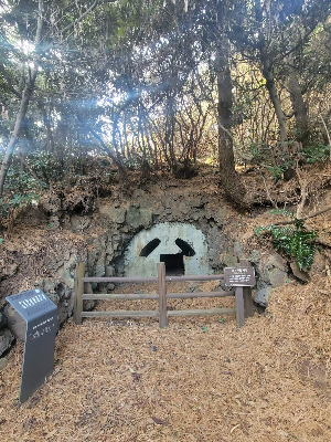 제주도 서우봉 일제 동굴진지