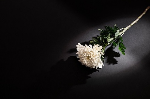 고 김지미 추모 공간