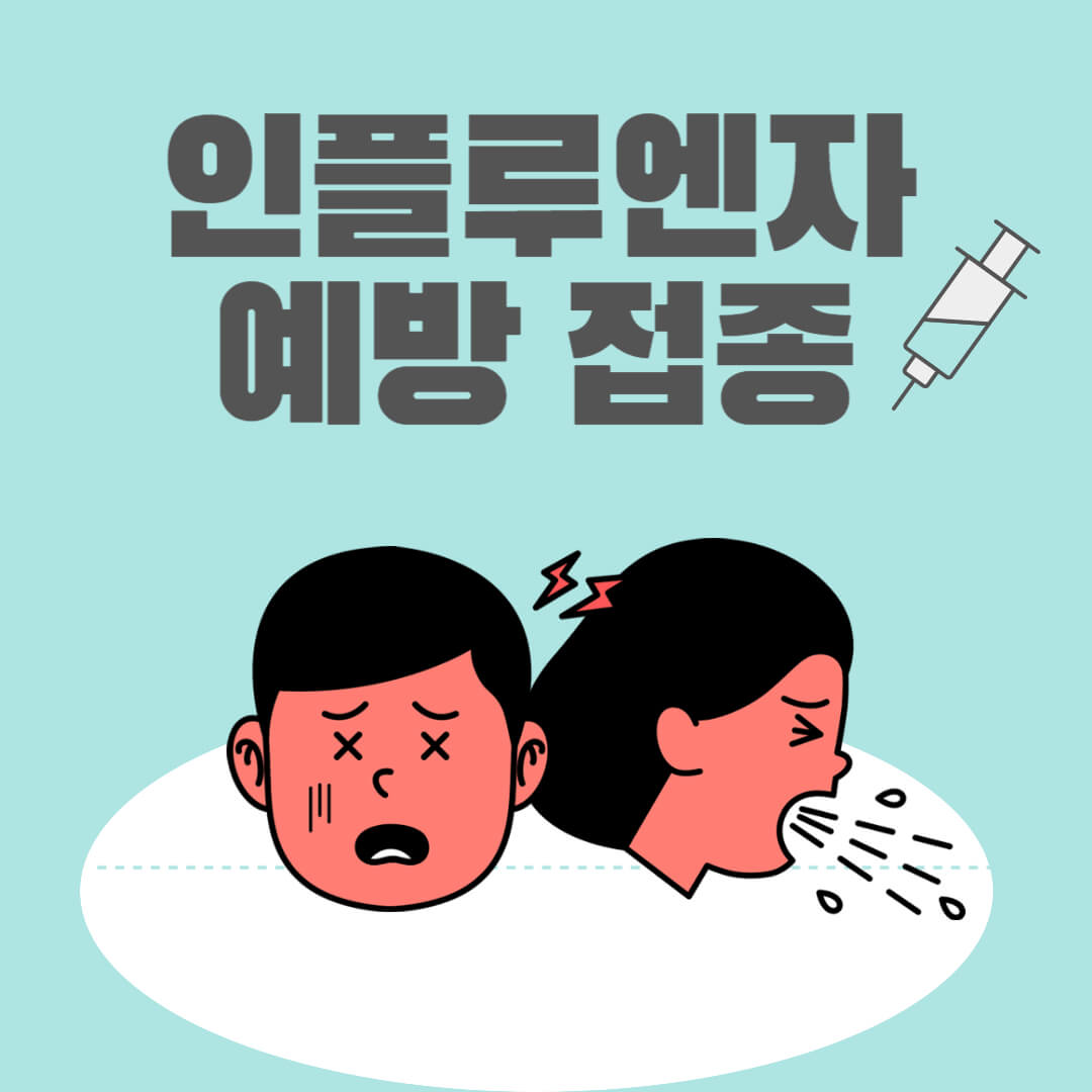 인플루엔자 예방접종