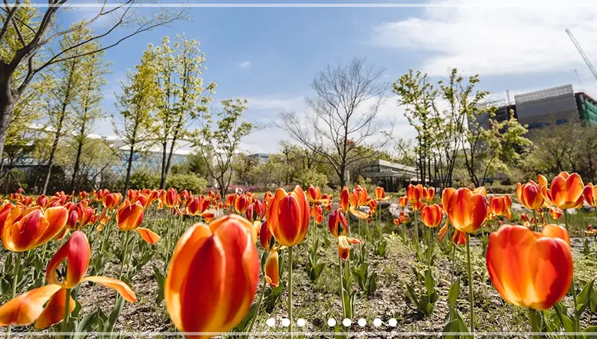 서울-식물원-입장료-운영-시간-할인