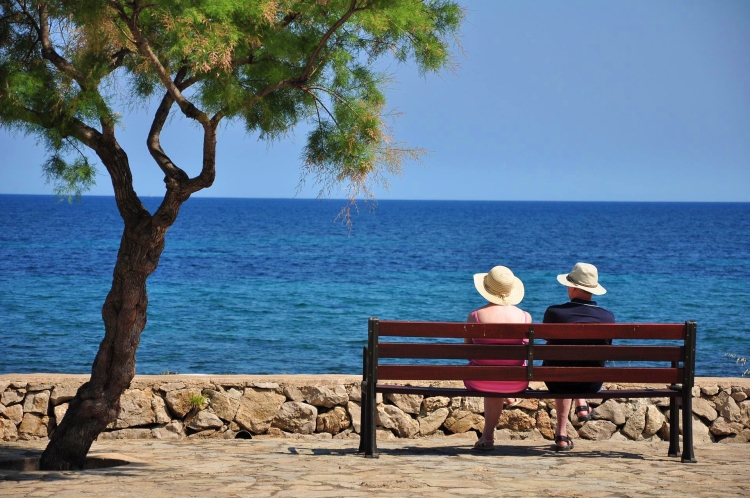 복지국가는 국민들의 복지를 증진하기 위해 노력한다.