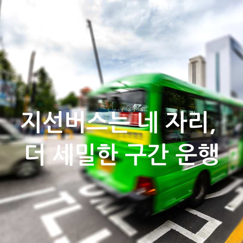 서울 버스 번호 비밀&amp;#44; 규칙