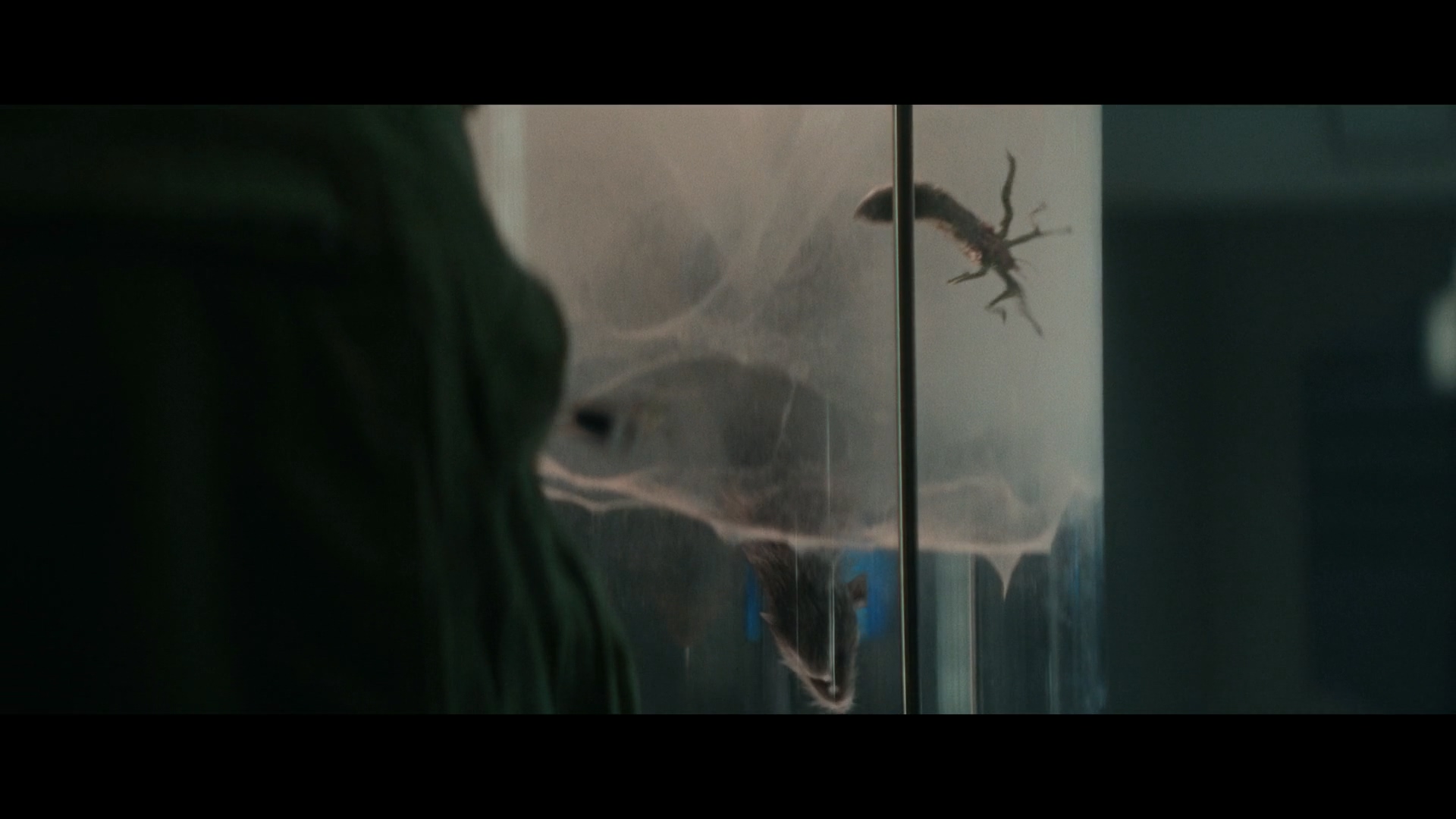 에일리언 어스의 날개 달린 크리쳐 (Winged Creature)