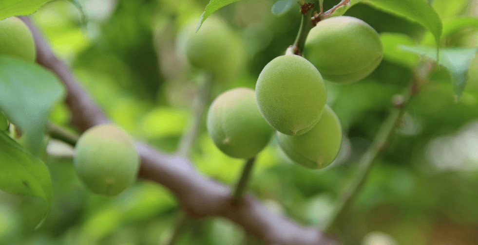장염 빨리 낫는 법과 관련된 사진 - 6
