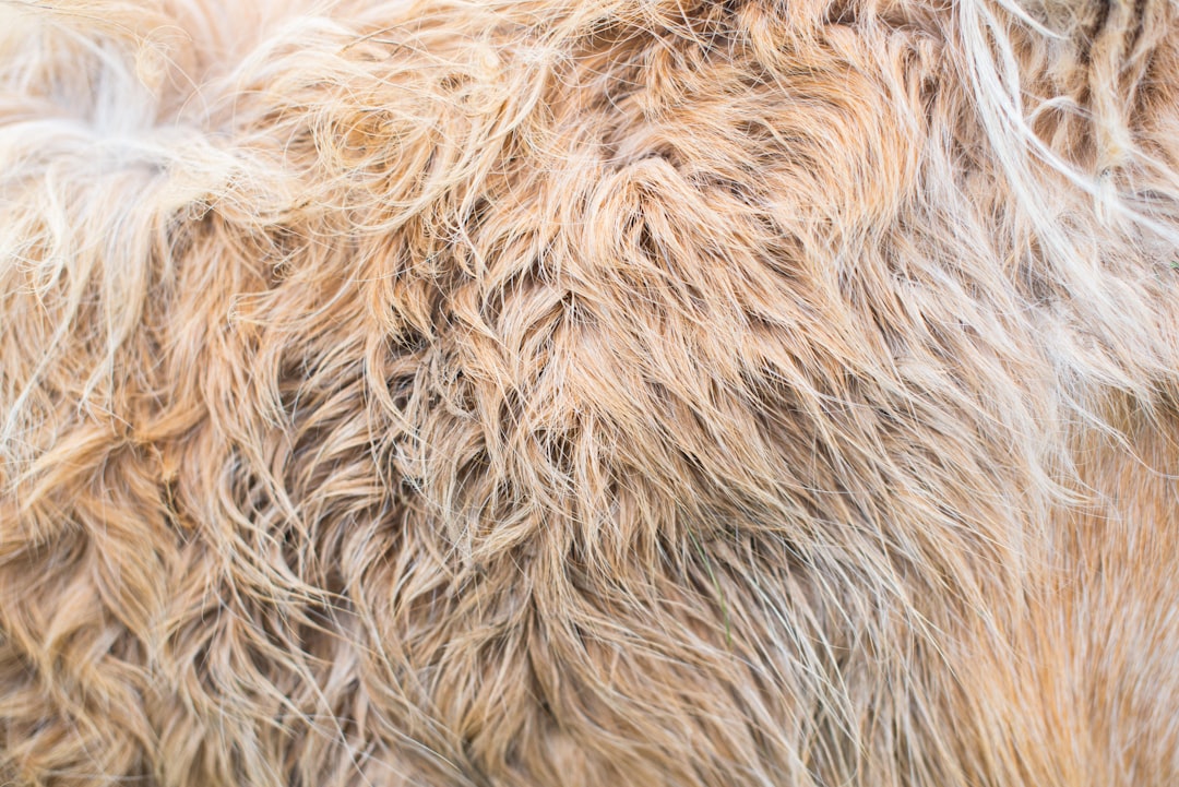 Fur