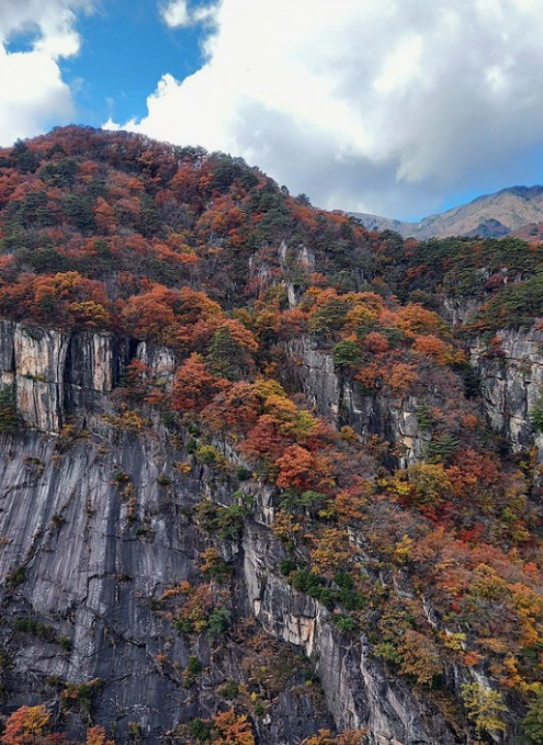 2025 두타산 가을 단풍 절정 시기 & 인기 등산 코스 총정리