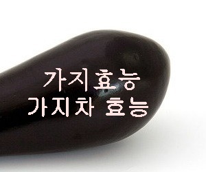 가지 효능