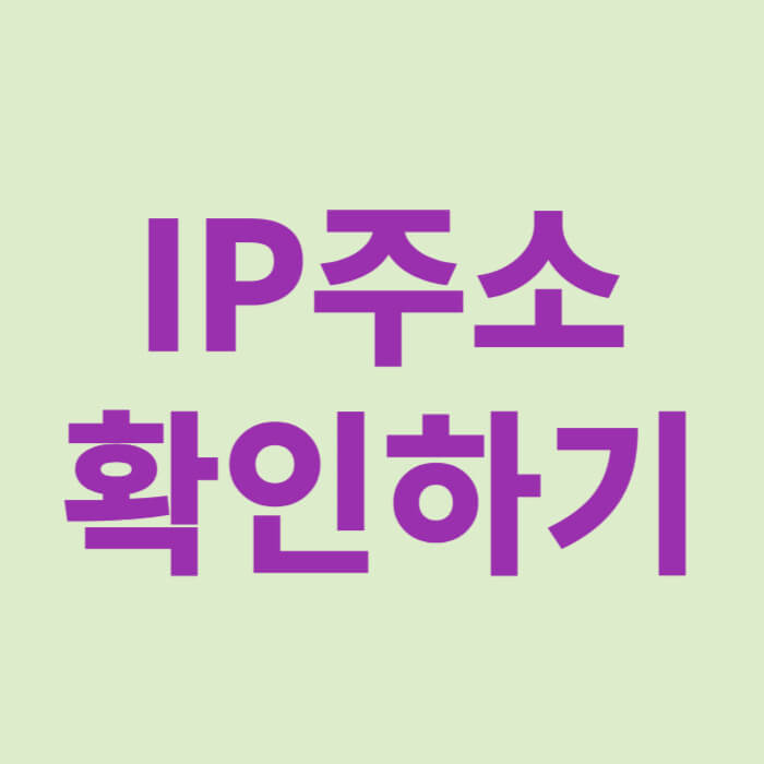 ip주소 확인하기