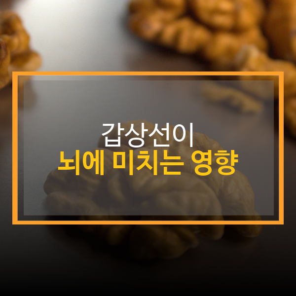 갑상선이 뇌에 미치는 영향