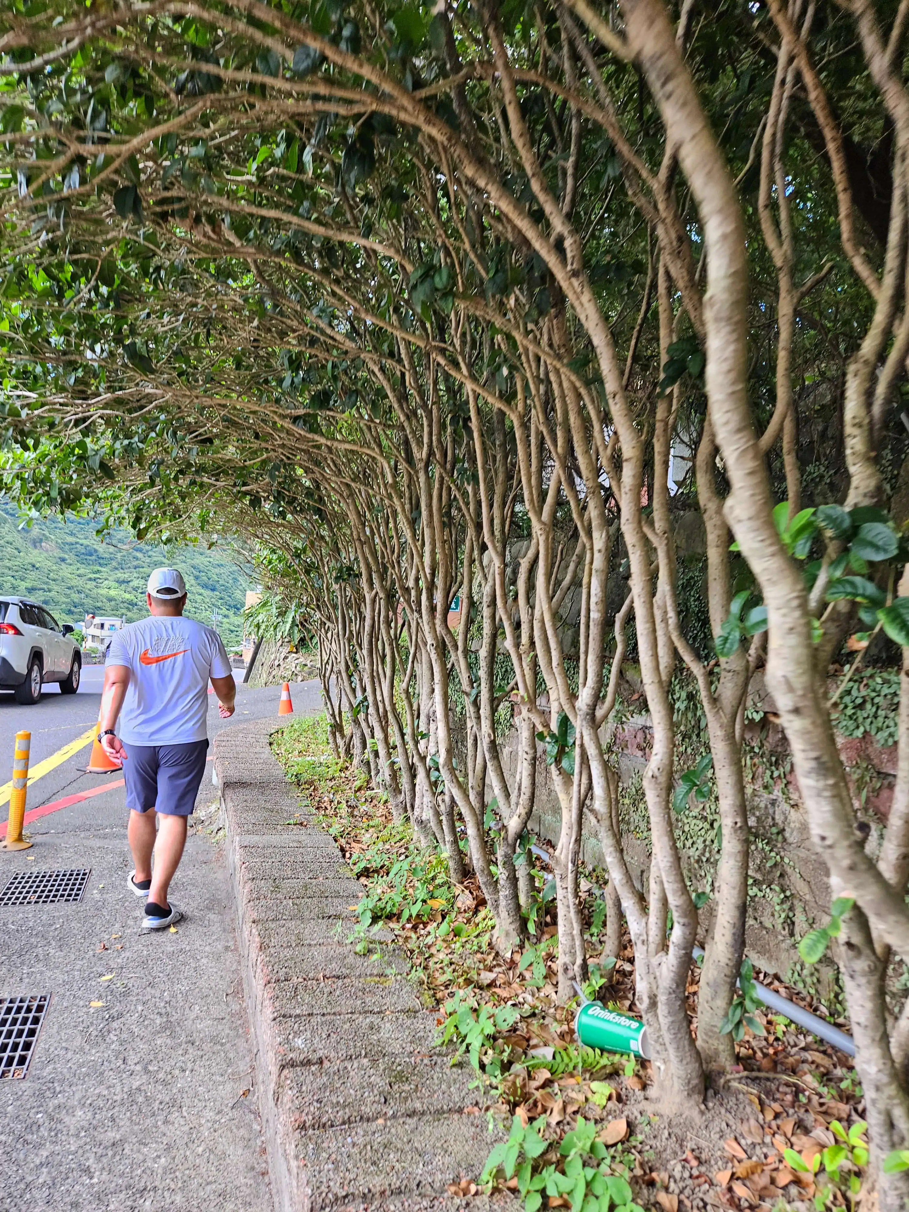 타이베이 근교 택시투어 추천 &#124; 예류·스펀·허우통·진과스·지우펀 하루 루트 정리