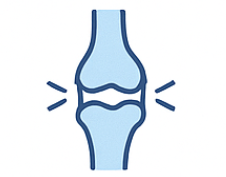 콘드로이친1200mg