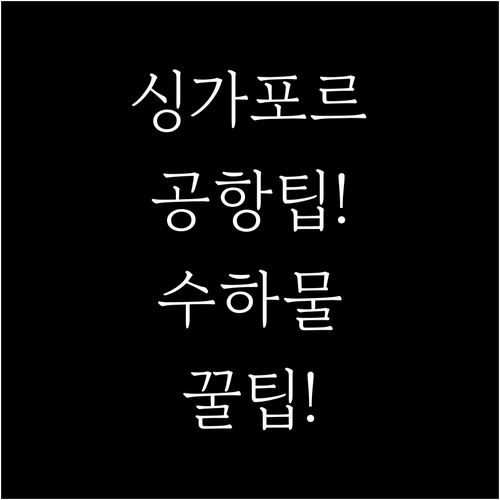 싱가포르항공 인천 출발 터미널과 수하..