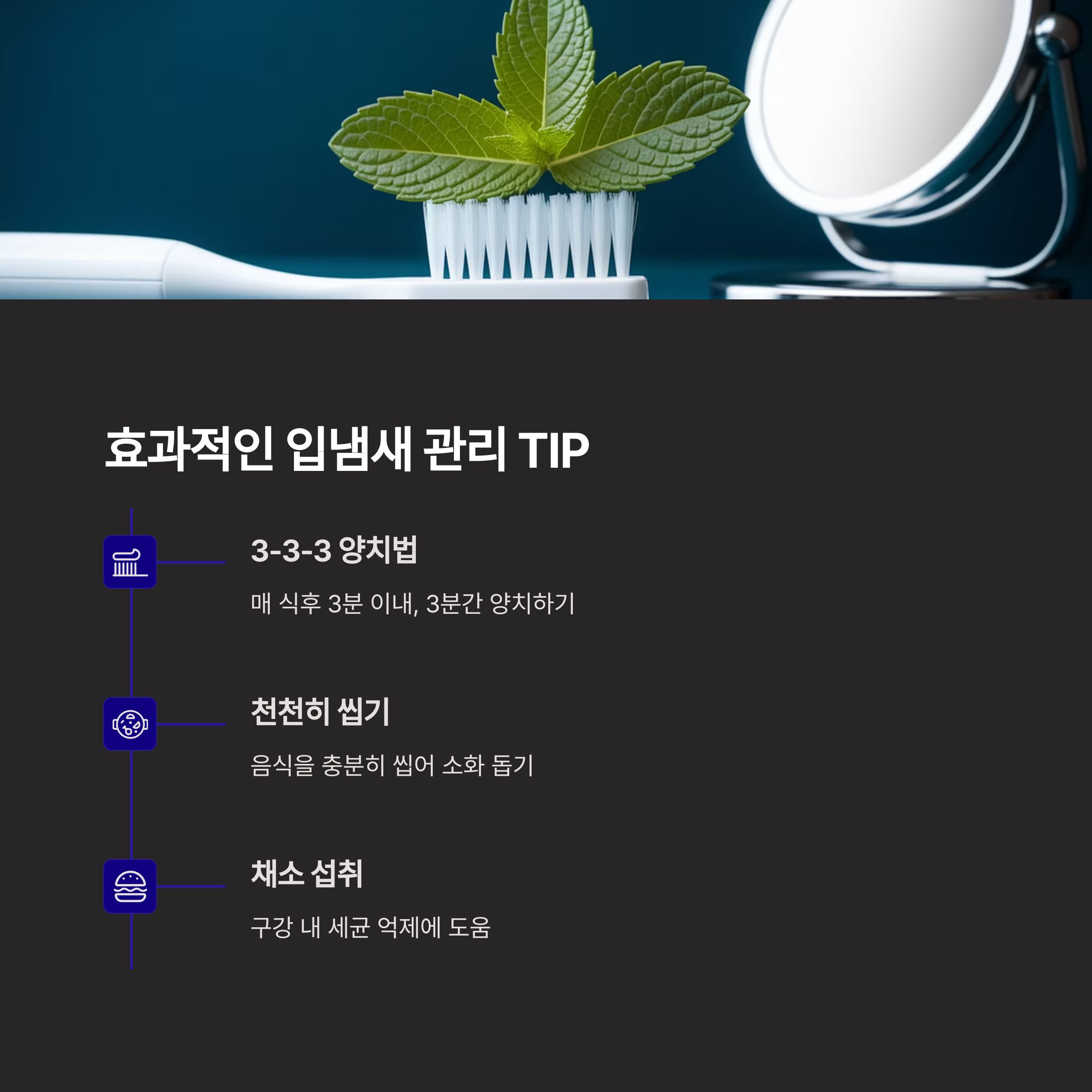 듀오버스터 민트볼 중년 입냄새 고민 해결템