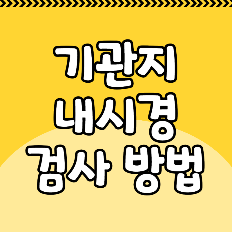 기관지 내시경 검사 방법