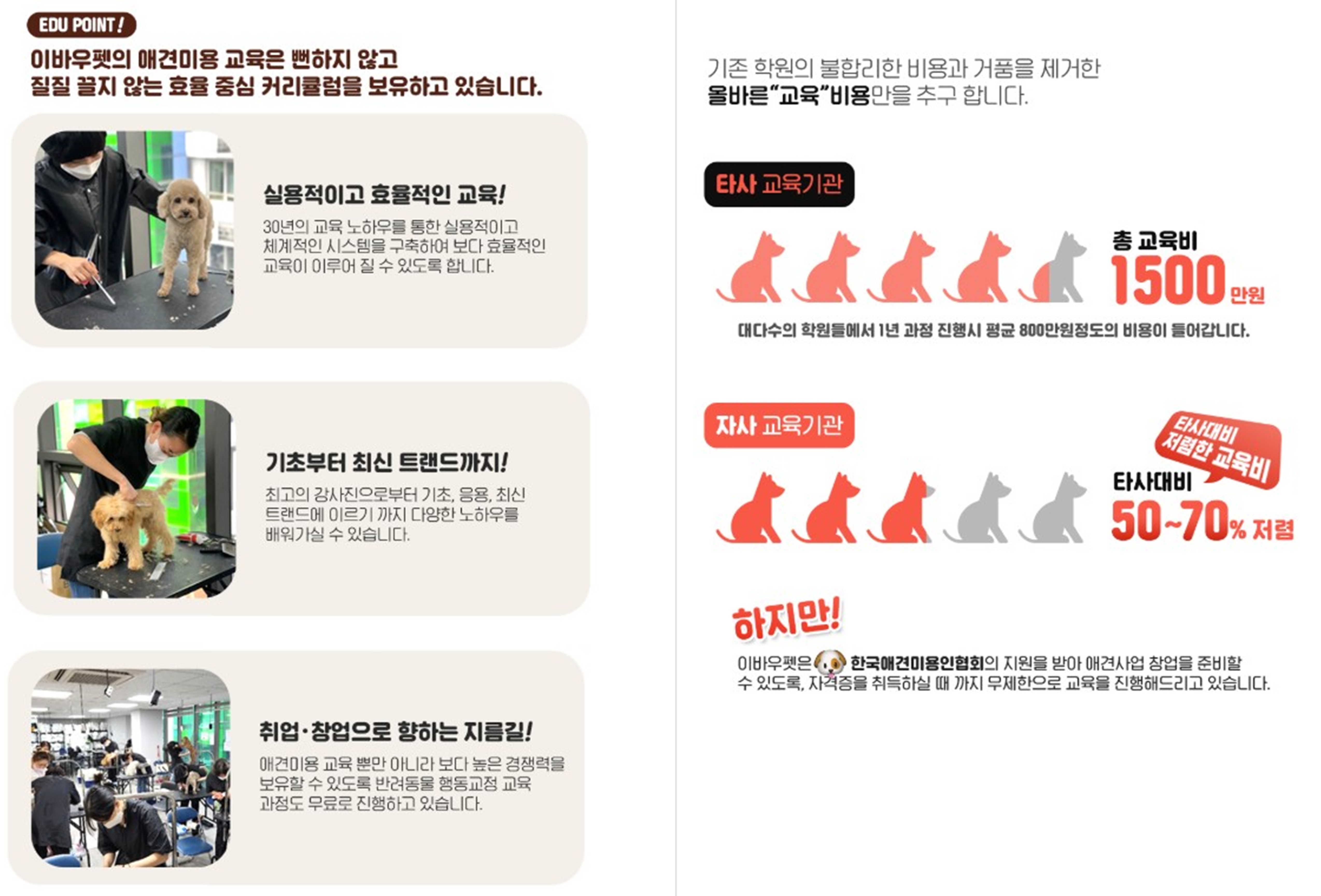 애견미용배우기