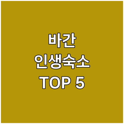 미얀마 바간 숙소 추천 TOP 5 위..