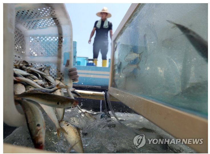 전국수산물축제일정