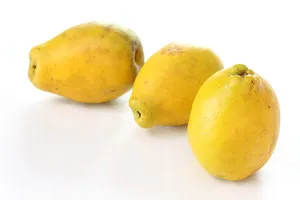 폐렴에-좋은-음식