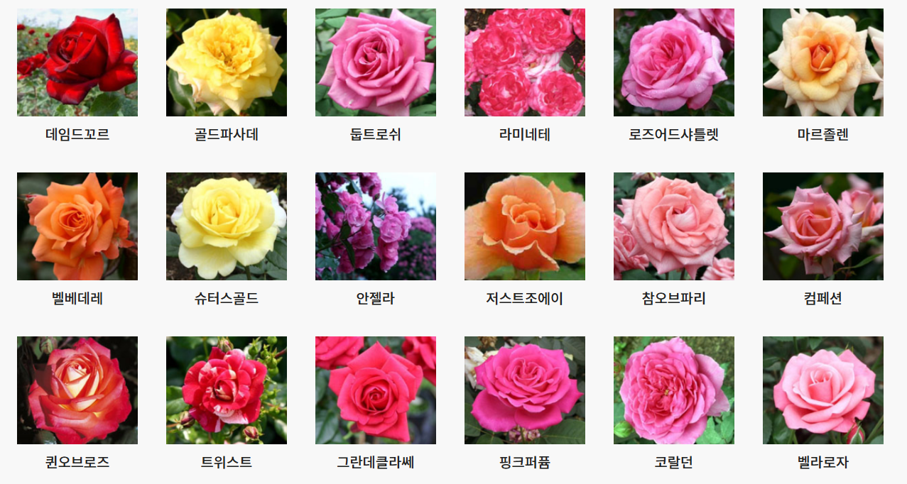 서울대공원 장미원 입장료, 1인당 얼마?