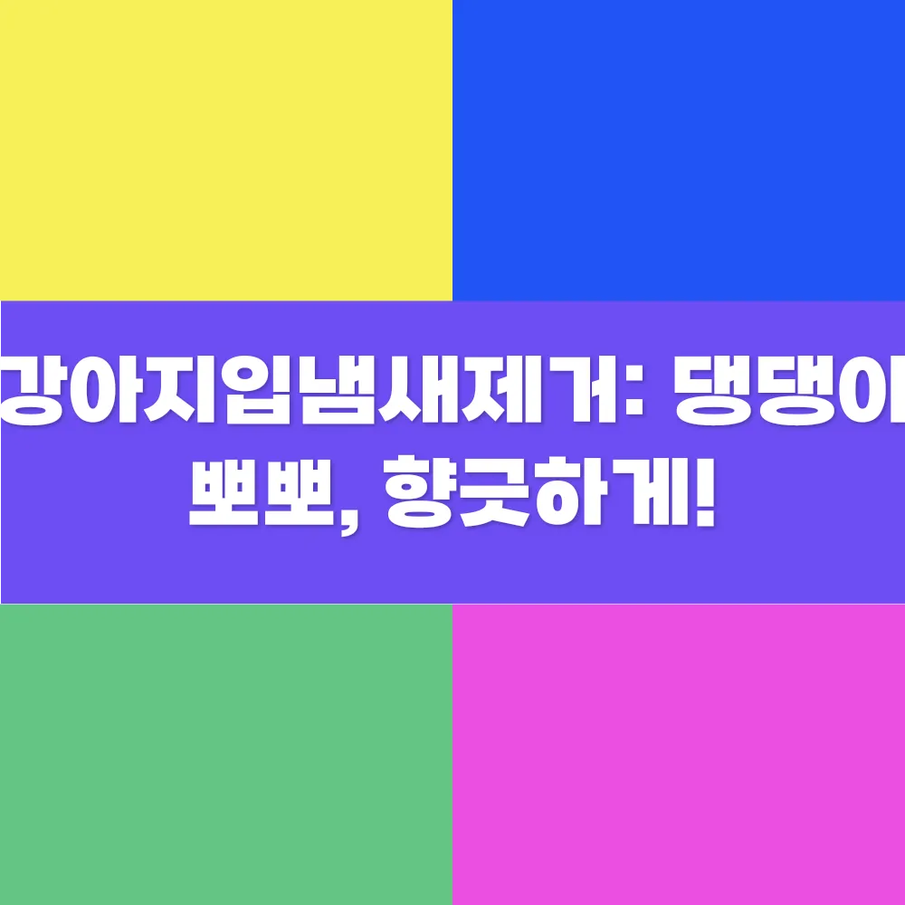 썸네일 이미지