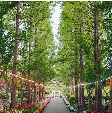 노인교통카드 신청방법