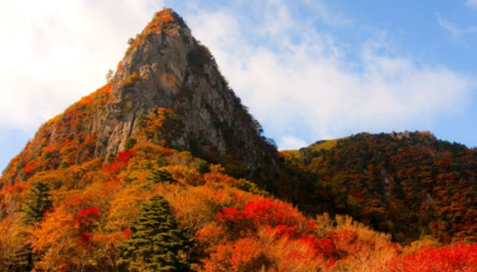 2025 한라산 단풍 절정시기 공개! 가을 초보자 코스 완벽 정리