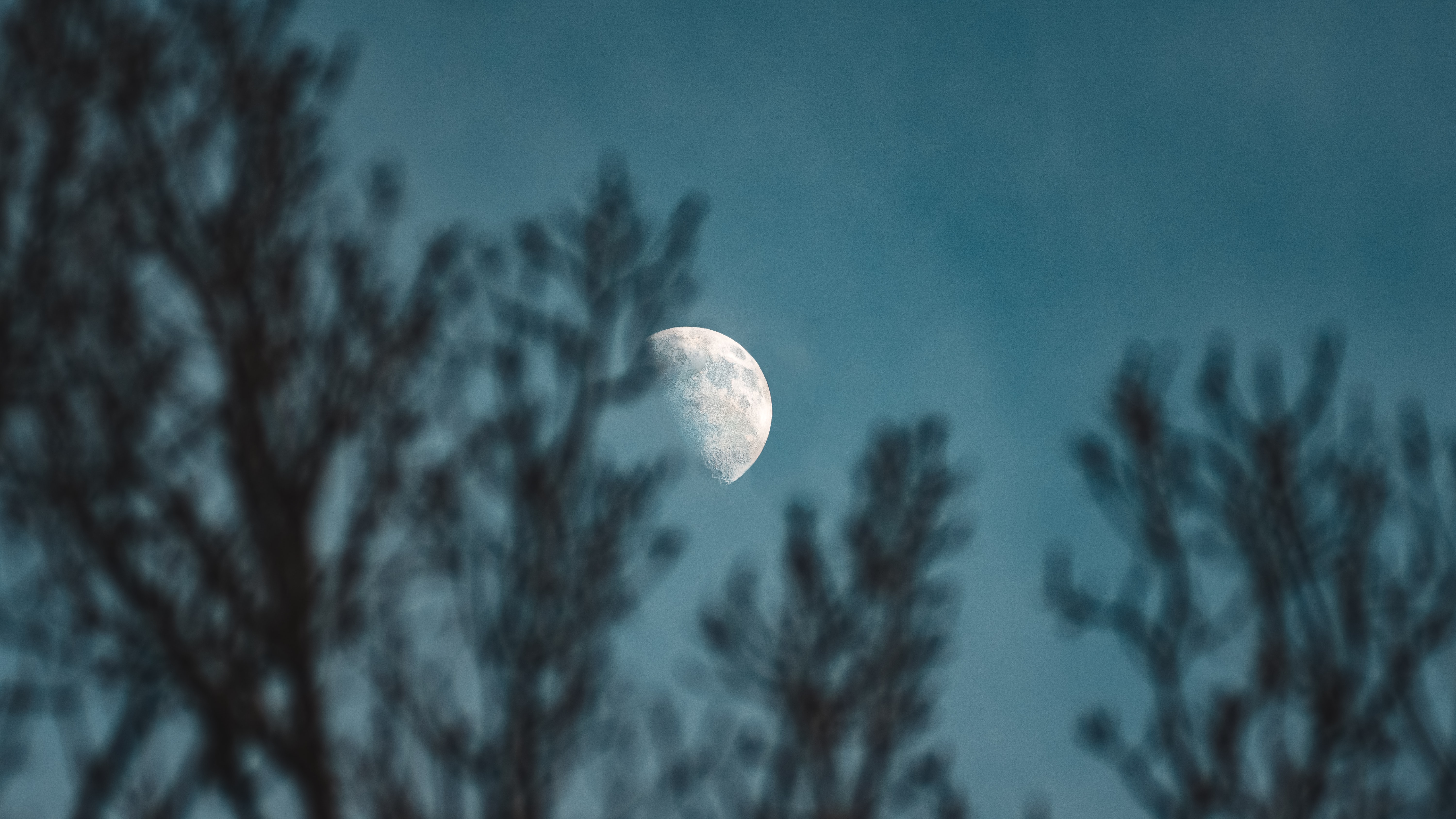 백야현상이 일어난 한밤중