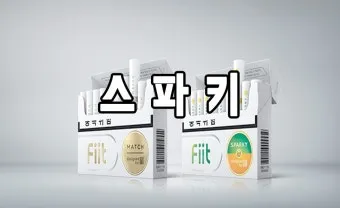 릴 핏 체인지톡 솔직 리뷰 환타 오렌지 한라봉 초콜릿_17