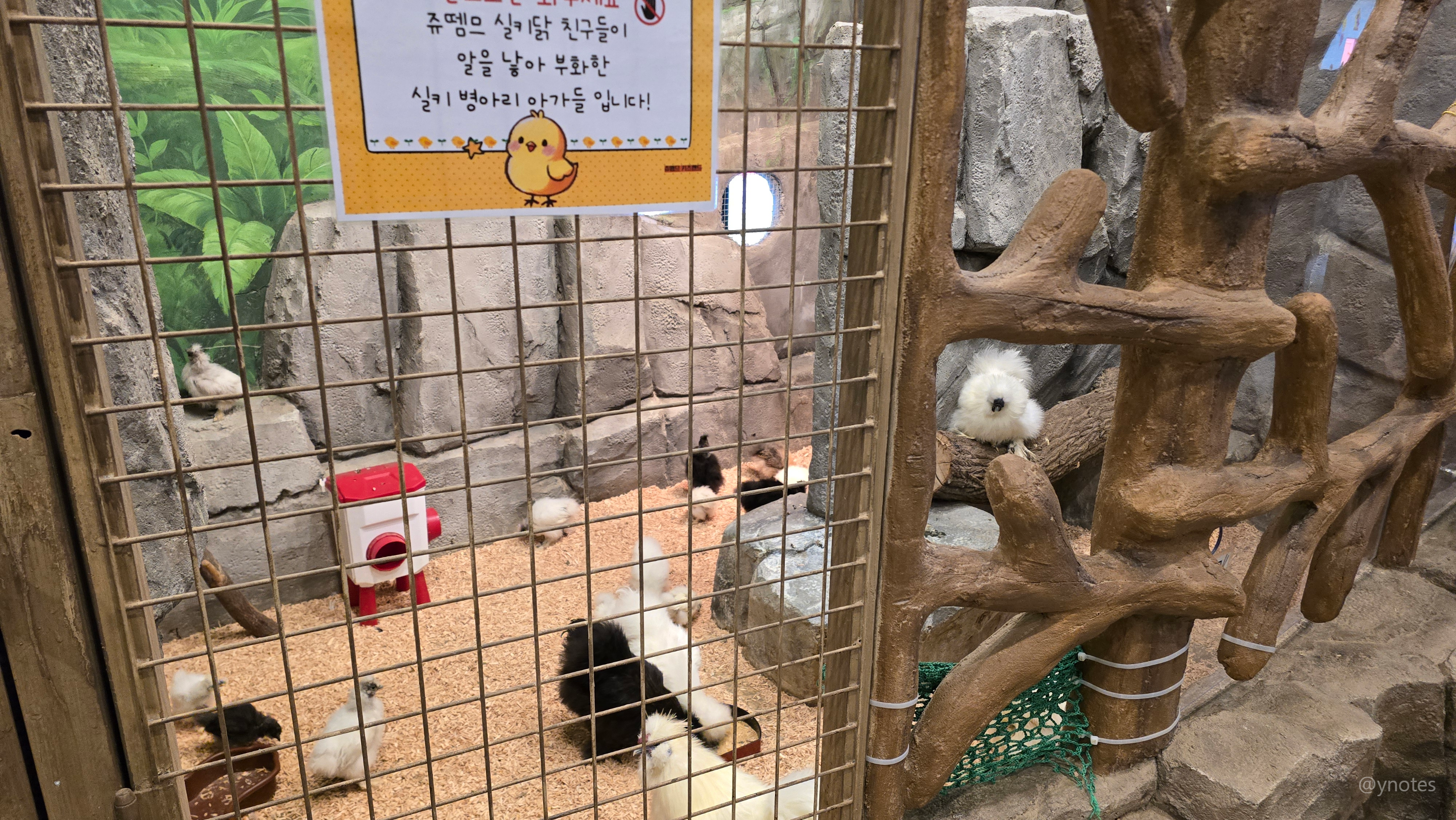 쥬뗌므 키즈랜드