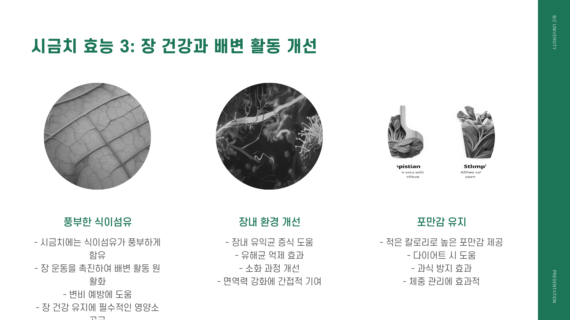 시금치 효능 ❘ 시금치 무침 황금레시피 ❘ 시금치 된장국 끓이는법까지 총정리