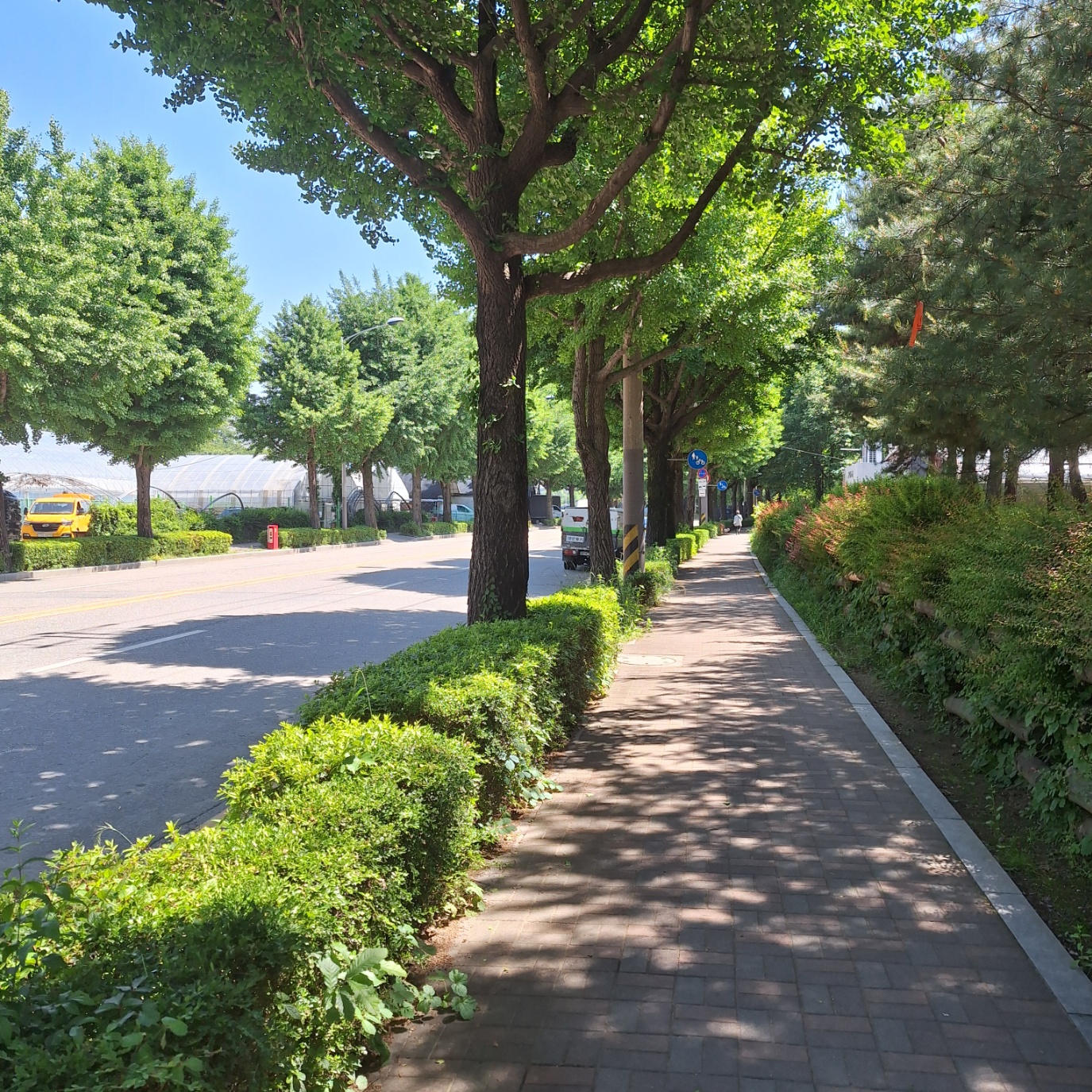 암사동유적지와 은행가로수길